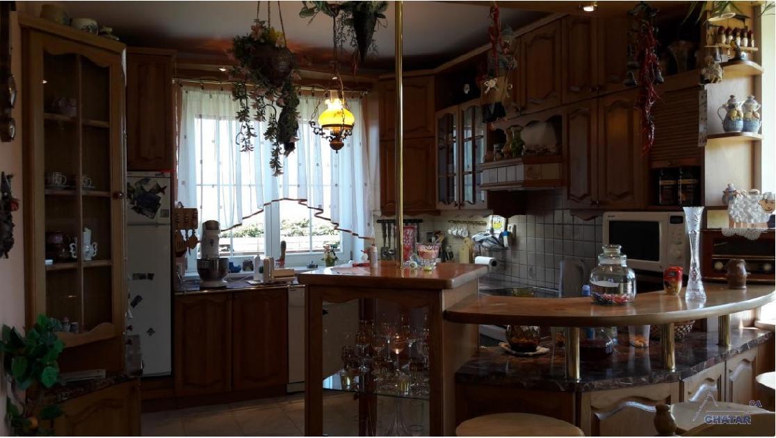 V Jesenikach Villa *